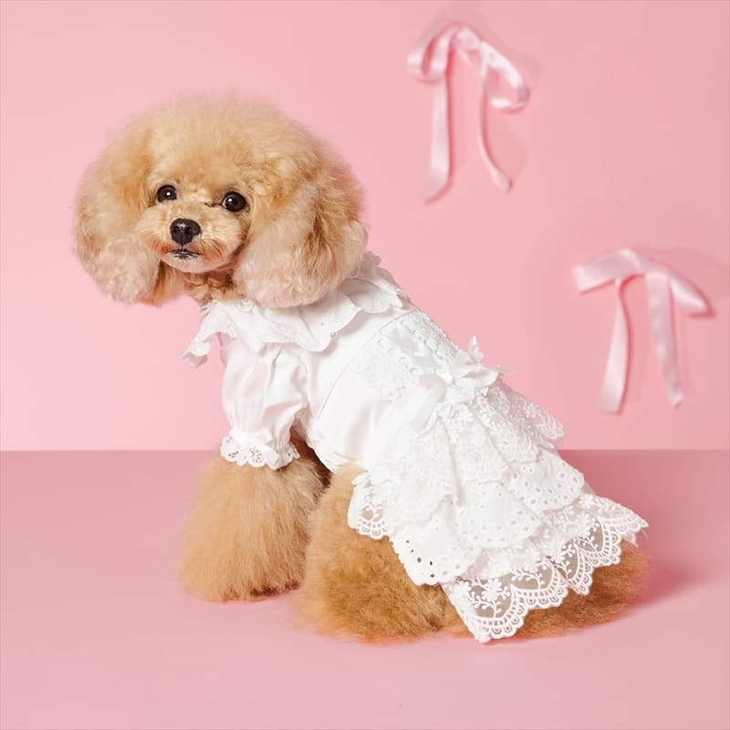 lace frill one-piece