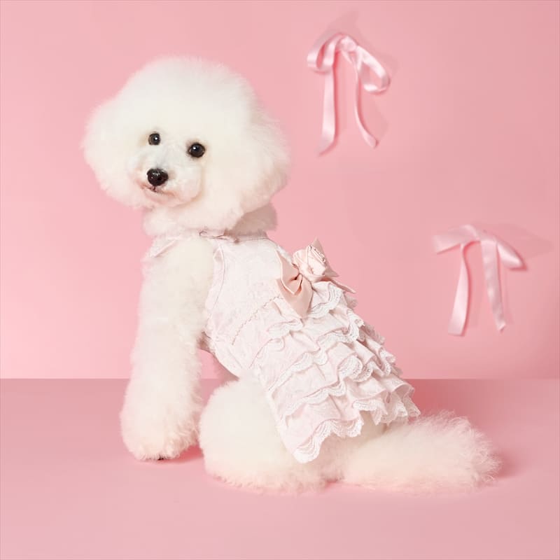 rose ribbon one-piece