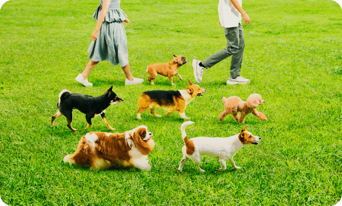 ペットパラダイス キルティング キャリーバッグ 超小型犬 / PET