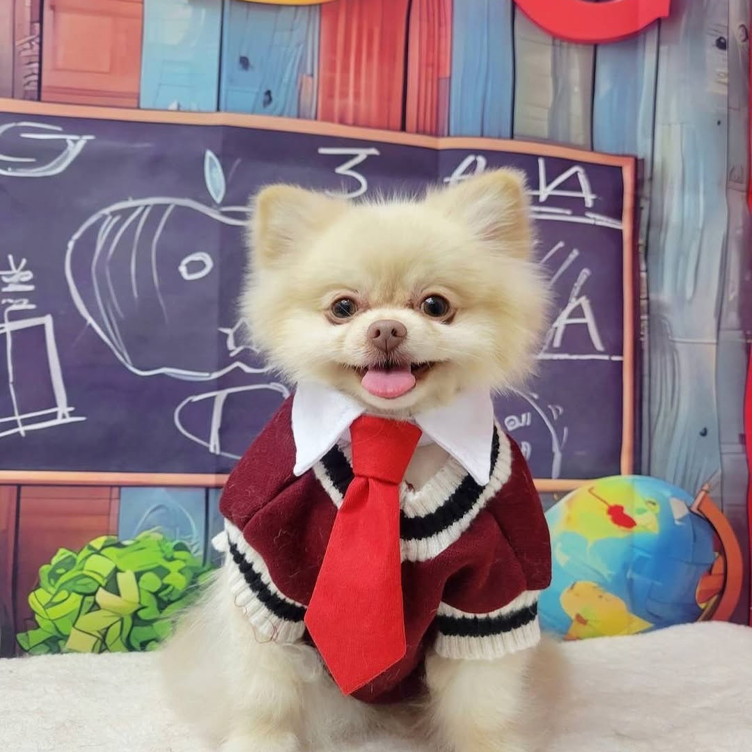 pet